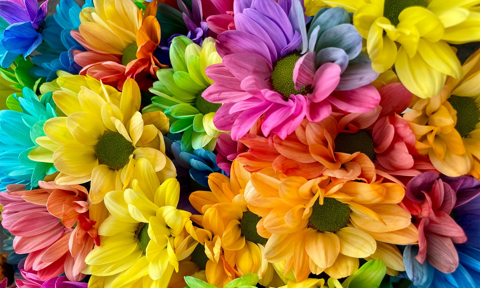 Eventpic